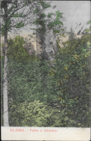 Na barevn litografii malho formtu je zdola vidt dva sloupy jako pozstatky hradn brny
            a palce, ze kterho se zachovala jedna ze. Ve je sten zakryto borovicemi.