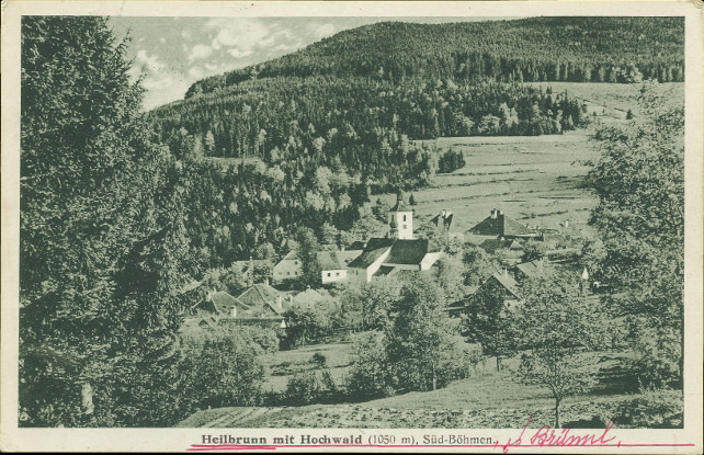Na pohlednici se nachz obec Hojn voda na svahu. Je vidt v zvonice, kostel,
hora a les za vesnic.