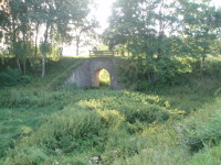Na fotografii je nsep s kamennm mostem. Na most je
          devn zbradl. Vude je vysok trva a jin vysok rostliny. Za i ped nspem jsou stromy.