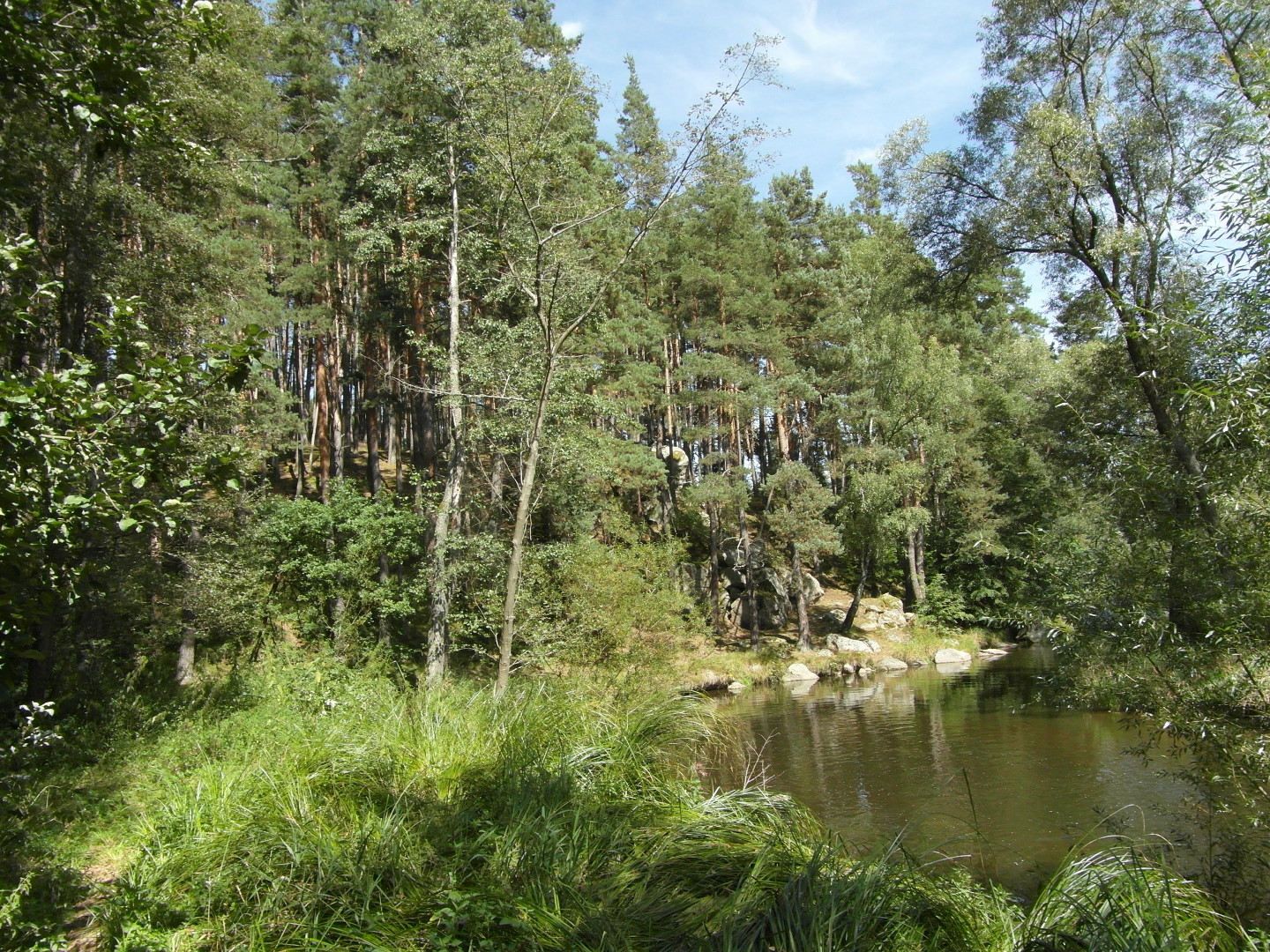 Na fotografii je eka Male protkajc lesem. Jsou na n tak
          travnat behy a balvanit svah.