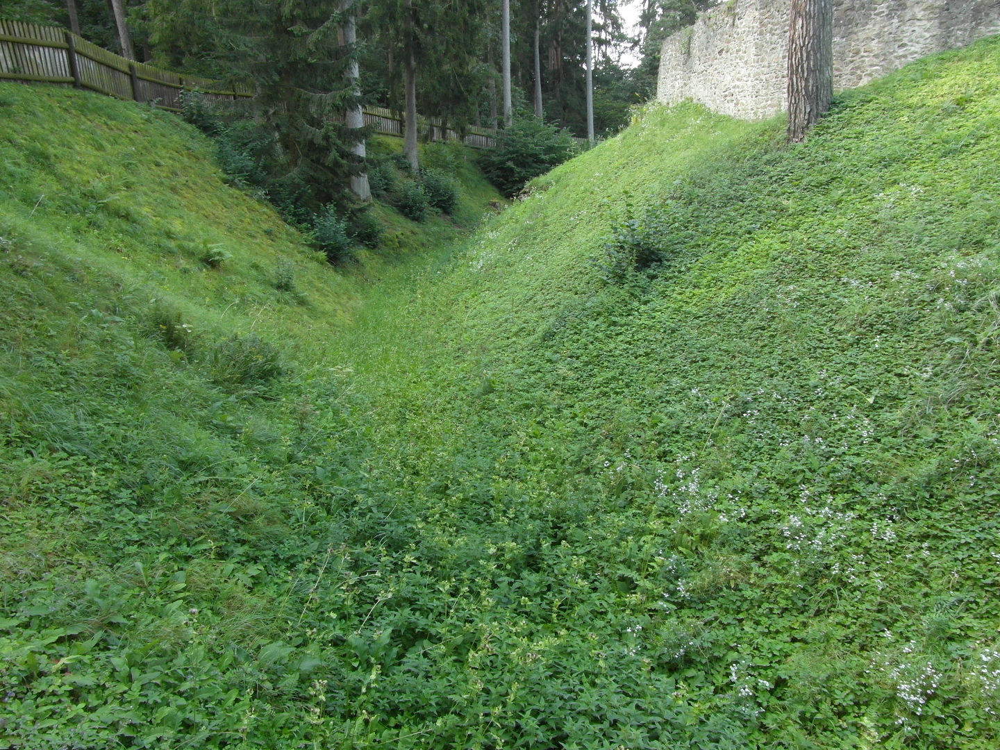 Na fotografii je vidt pkop, plot a parknov ze kolem hradu. Svahy pkopu jsou porostl rostlinami, 
  kei a stromy.