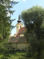 Piblen fotografie kostela sv. Vavince z parku. 
          V je mezi dvma stromy.