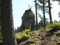 Na fotografii je vidt ruina ve se vstupnm portlem, porost a stromy.
          Zbr je z niho msta.