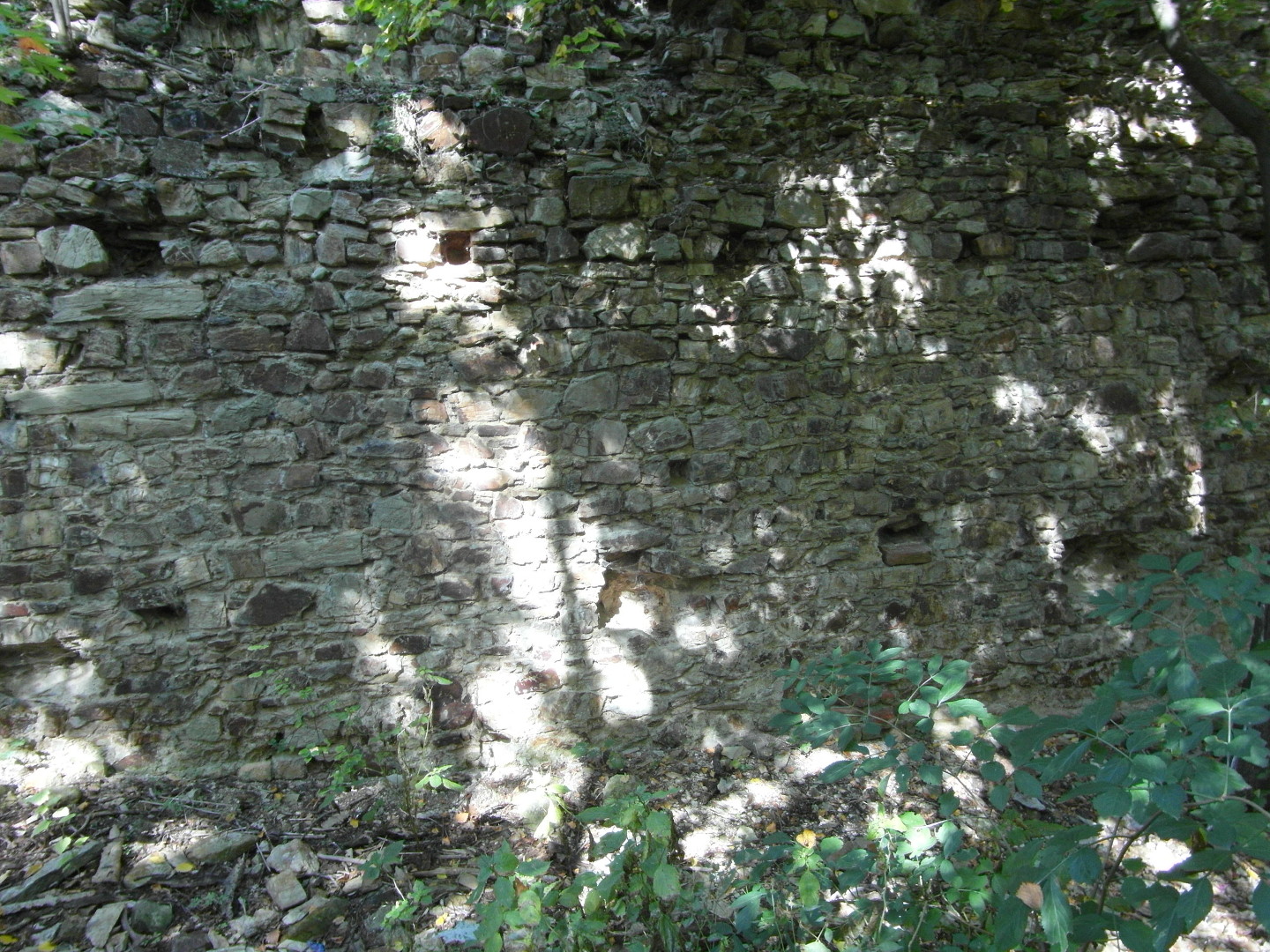 Na fotografii z vletu je st stny sklepa vovitho palce s mnoha otvory 
  po trmech ve dvou adch nad sebou. Je vidt i drobn porost. Stromy na zbru nejsou.