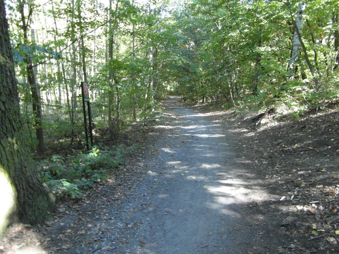Na fotografii z vletu vede po vchodnm kraji Kunratickho lesa cesta k Centru Chodov. 
  Vede listnatm lesem.