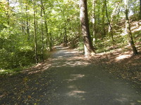 Na fotografii z vletu je cesta listnatm lesem. Je ve svahu k potoku, ale je sjzdn 
          i pro vozidla.