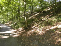 Na fotografii z vletu je cesta kolem Kunratickho potoka a svah s listnatm lesem
          nad cestou.