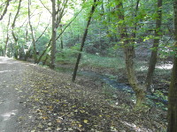 Na fotografii z vletu protk Kunratick potok svtlej st dol.
          I na n jsou mezi cestou a potokem listnat stromy.  Za potokem je hol msto.