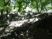Na fotografii z vletu je pohled smrem na vrchol hebenu kopce. Je vidt svah,
          skly a listnat stromy.