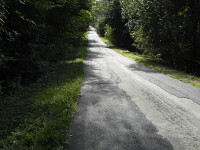 Na fotografii je vidt pospravovanou silnici, kolem silnice trvu
          a stromy.