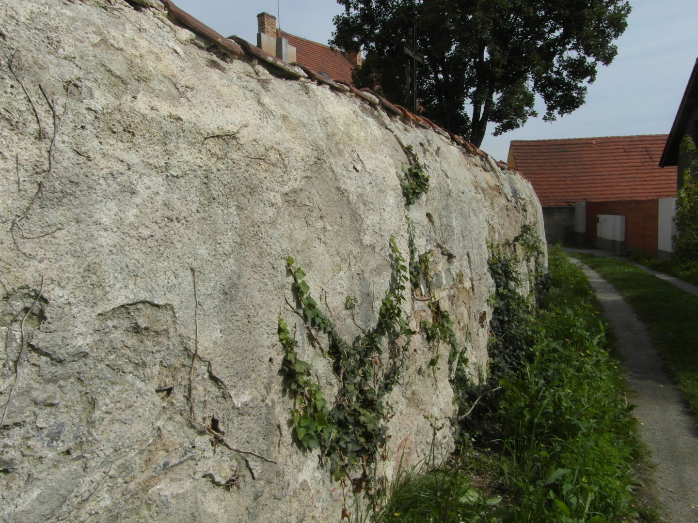 Na zbru fotografie z vletu je detail hbitovn zdi uliky, kter spojuje za hbitovem ulici Farn s ulic umavskou. 
  Je dobe vidt zajmav zaoblen vnj horn sti zdi. Na nkolika stech zdi roste popnav rostlina. Na jednom mst je 
  zeteln vidt velk kus odpadnut omtky. I jinde m omtka odpadan kusy. Jsou vidt i uschl zbytky popnav rostliny.