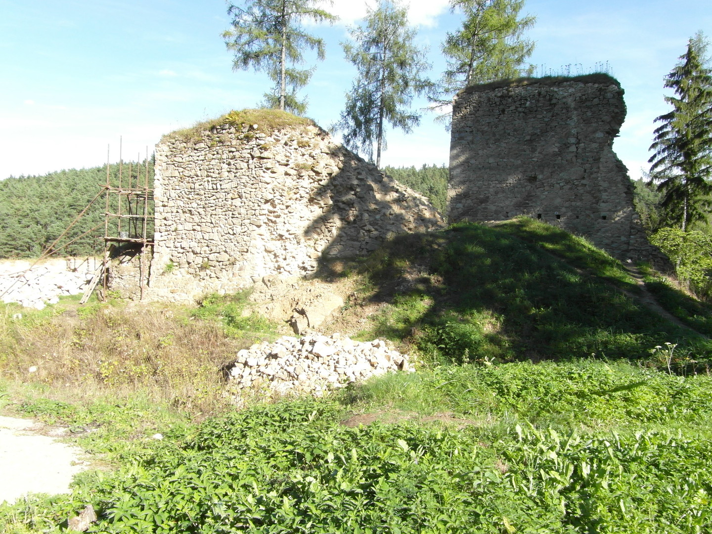 Na fotografii jsou pedevm: opravovan tet brna s leenm a ze palce. Tak je vidt trvnk, 
  hromadu kamen a vzadu ojedinl stromy a les.