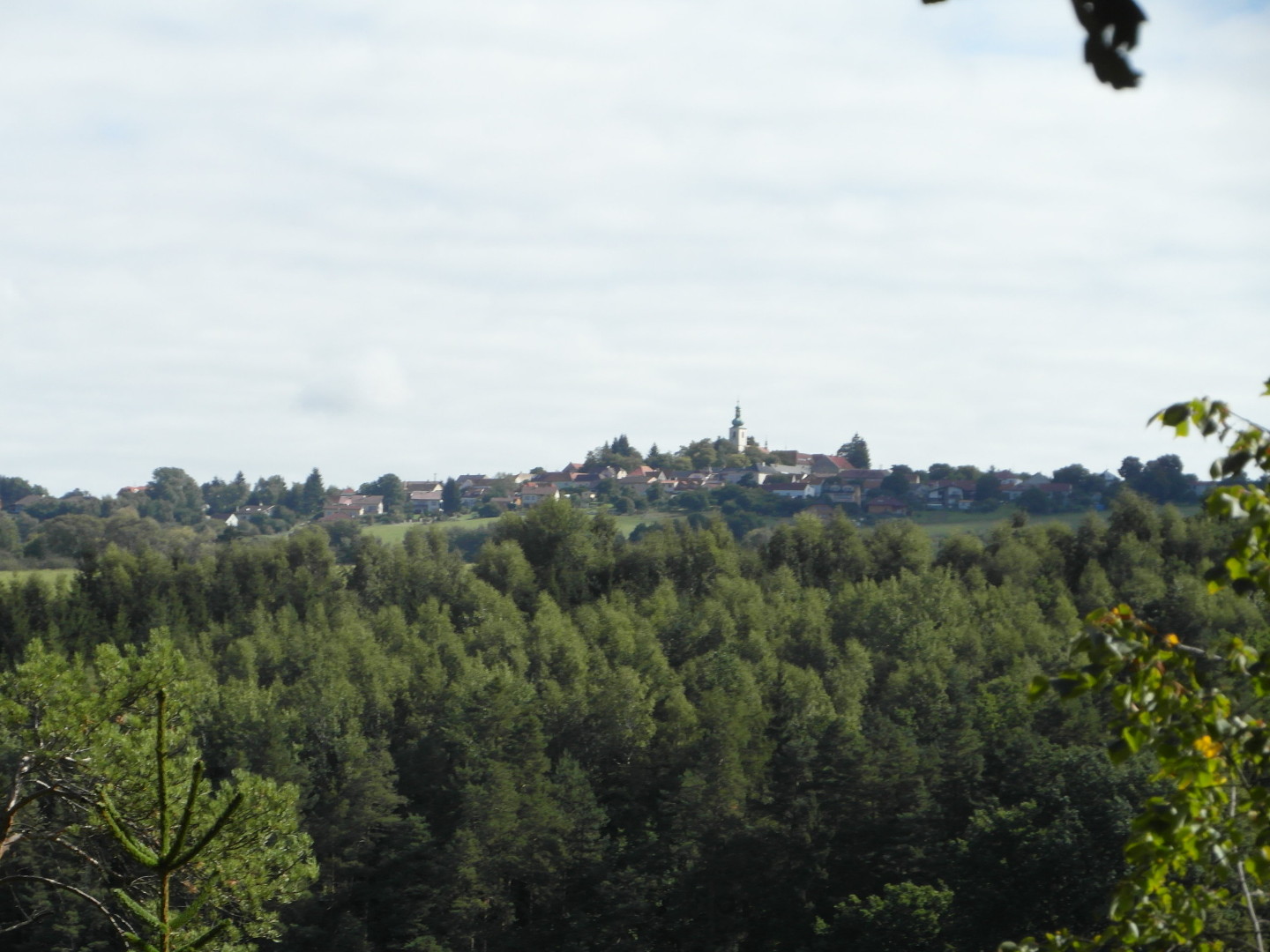 Na fotografii je les, nad lesem 
  louky a pole a vesnice s kostelem.